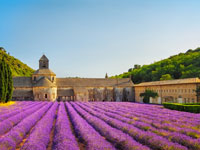 Small Group Tour:  Provencal Markets and Villages in Luberon Tour