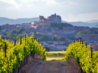 Small Group Tour: Afternoon Wine Tour to Châteauneuf du Pape