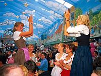 Shared Tour: Oktoberfest Beer Tour ** NON REFUNDABLE AFTER SERVICE IS CONFIRMED**