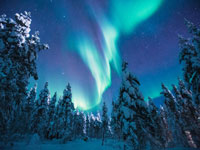 Shared Tour: Aurora Hunting with Reindeer Tour