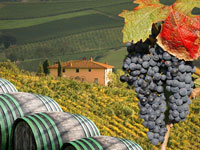 Private Castles of Chianti Full Day with Lunch and Wine Tasting from Florence