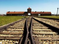 Shared Tour: Auschwitz-Birkenau Museum and Memorial Guided Tour from Krakow