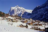 Shared Tour: Grindelwald & Interlaken from Lucerne