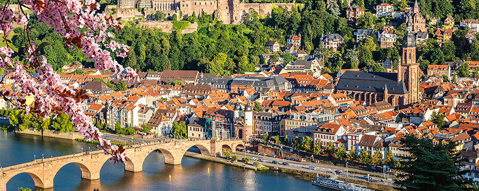 Bridge and buildings of Heidelberg, Germany