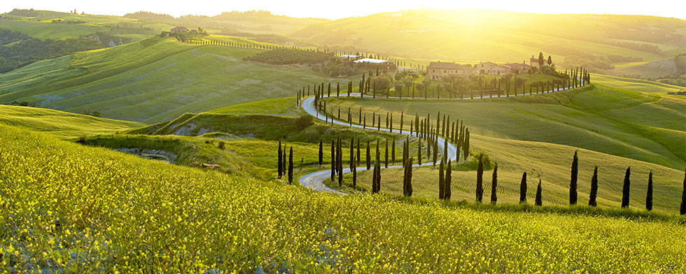Rolling Tuscan hills and a cypress-lined road